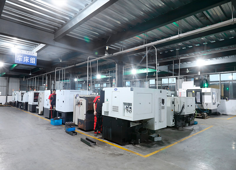 Diesel Pump Workshop